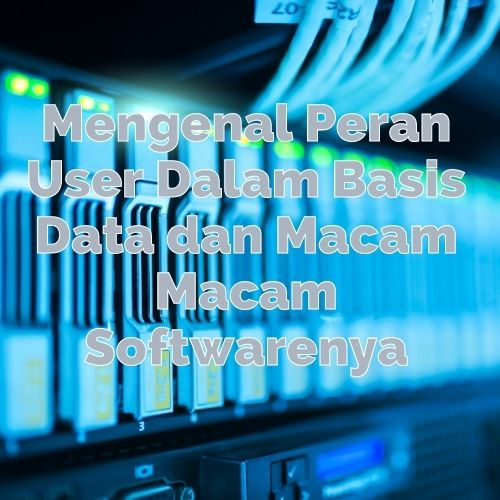 Mengenal Peran-User Basis Data dan Macam Macam Softwarenya